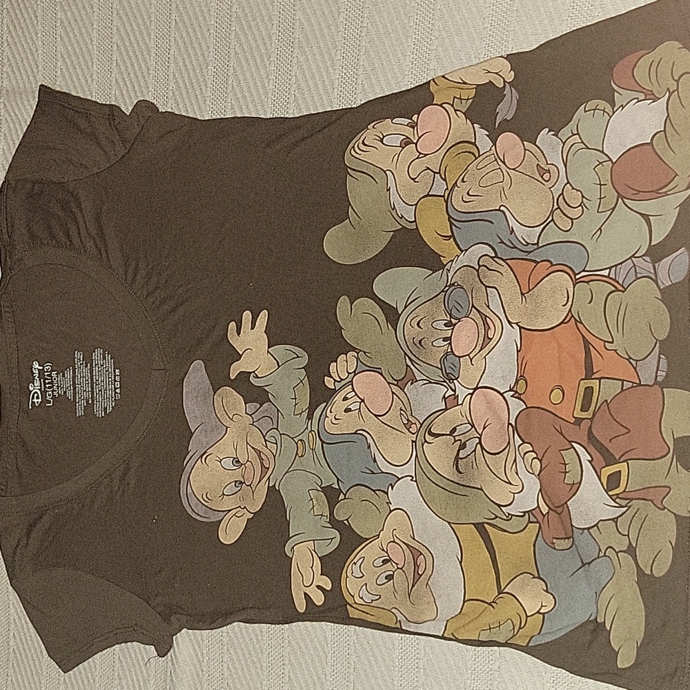 Disney Dwarfs Graphic Tee - Brown